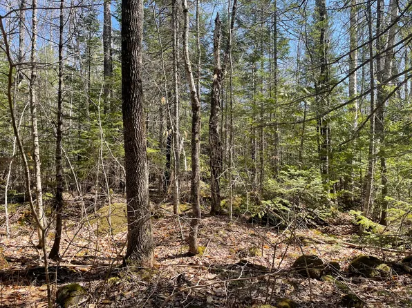 172 E Madrid Road, Phillips, ME 04966