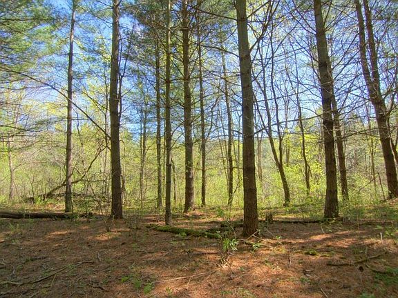 3rd image of Xxx 60th Avenue Alden Twp