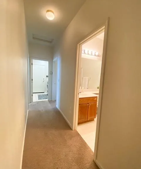 1157 Knopfler Cir — Photo 11