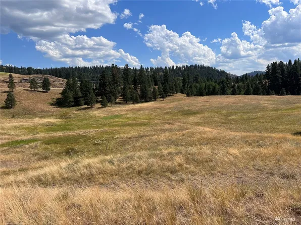 0 Lot 27 Curlew Drive, Republic, WA 99166
