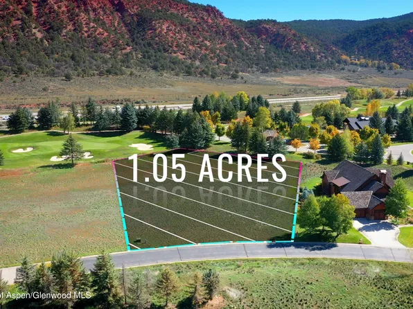 42 Leonis Ln, Carbondale, CO 81623