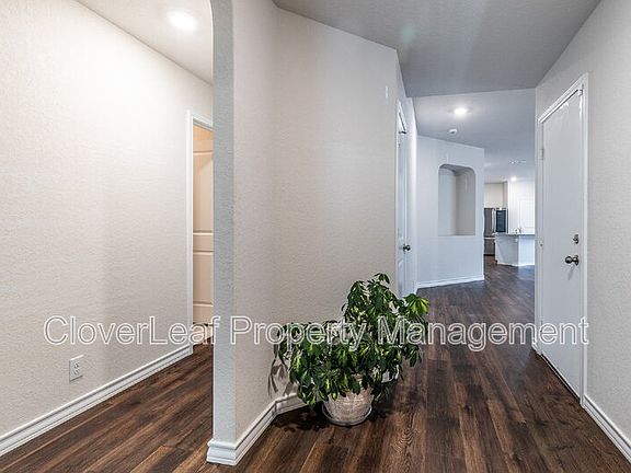 5th image of 418 Cheeked Pintail
