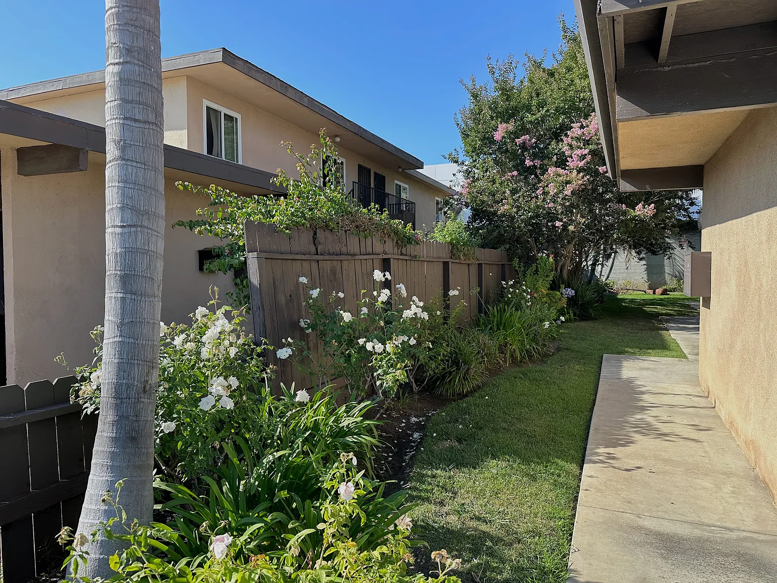 2 bed, $2,400 — Photo 4