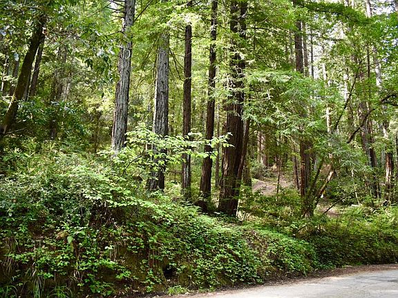 5th image of 0 Old Monte Rio Road