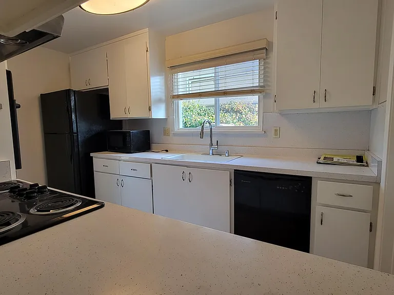 1013 Tulip Dr — Photo 12