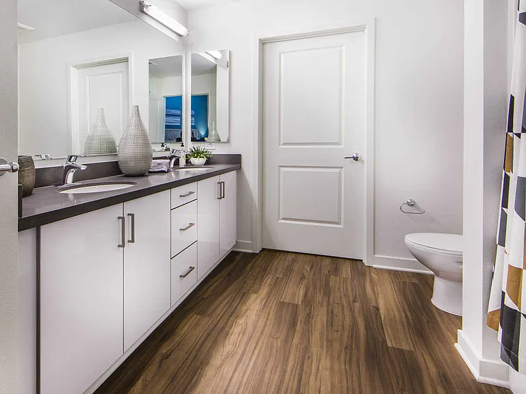 Bathroom with Acrylic Cabinets and Quartz Countertops