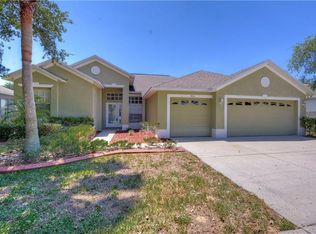 2834 Buckhorn Preserve Blvd, Valrico, FL 33596