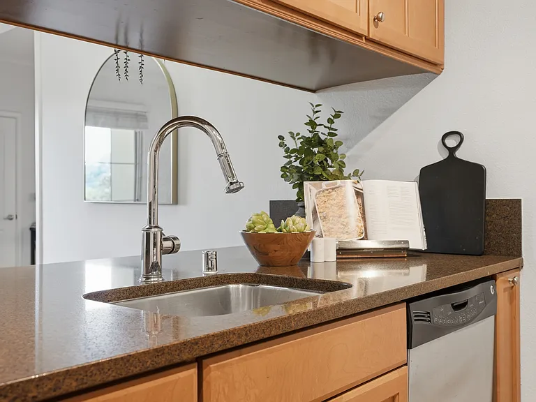 1315 Alma Ave #323 — Photo 9