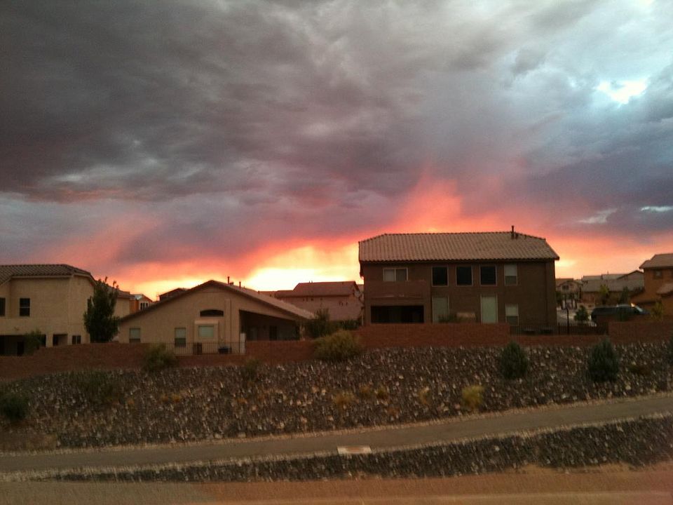 Backyard view to running trail