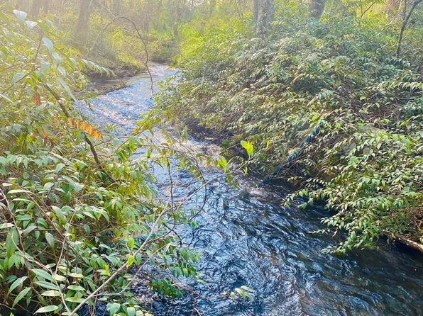 LOT 5 Carringer Rd, Robbinsville, NC 28771