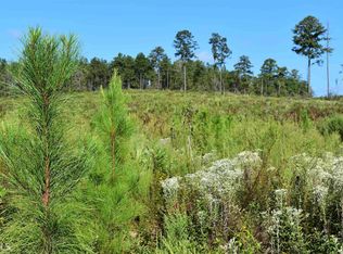 0 County Road 84, Morris, GA 39867