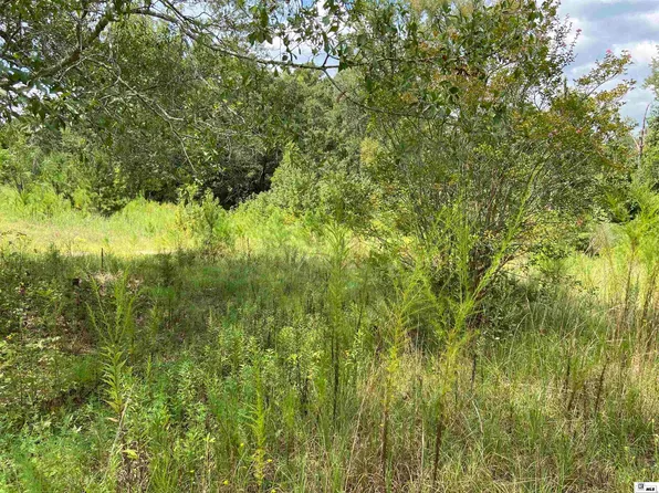 1190 Beulah Church Rd, Calhoun, LA 71225