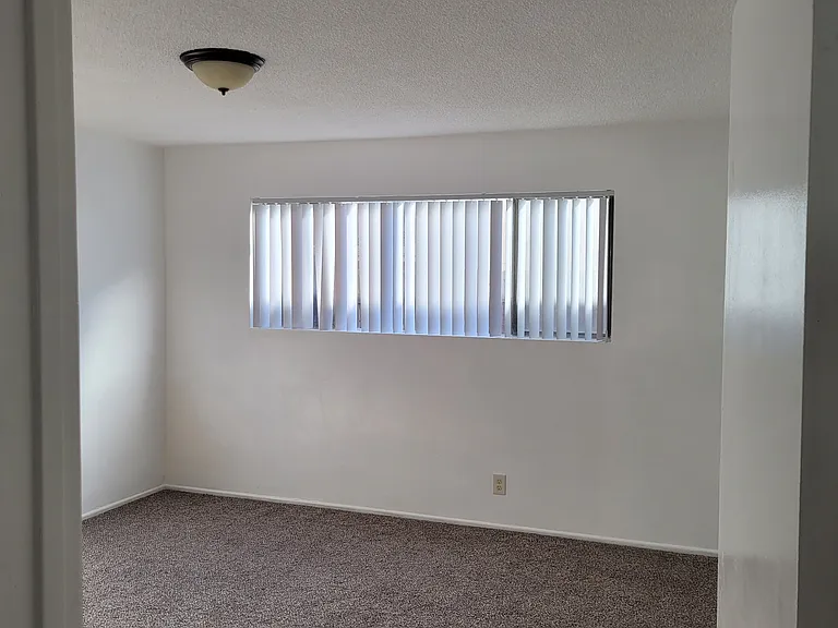 719 Wedgewood Ave #A — Photo 4