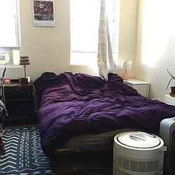 Rented by Nooklyn NYC LLC