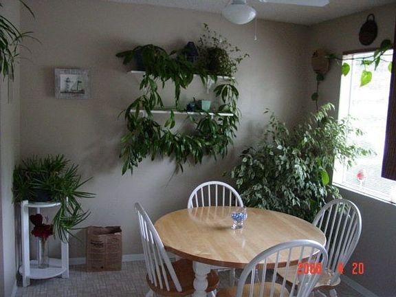 5th image of 102 NW Solnae Pl
