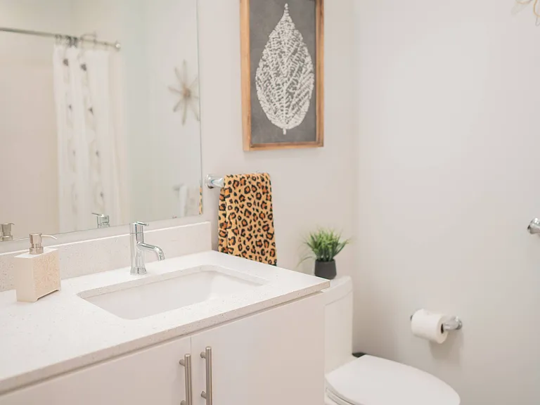 Cheatham Street Flats - Student Housing — Photo 7