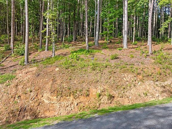 4th image of LOT 452 Woodward Way