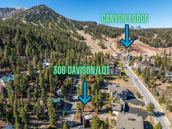306 Davison Rd, Mammoth Lakes, CA 93546