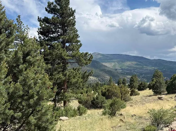 Lot 42-44 Ellingwood Drive, South Fork, CO 81154