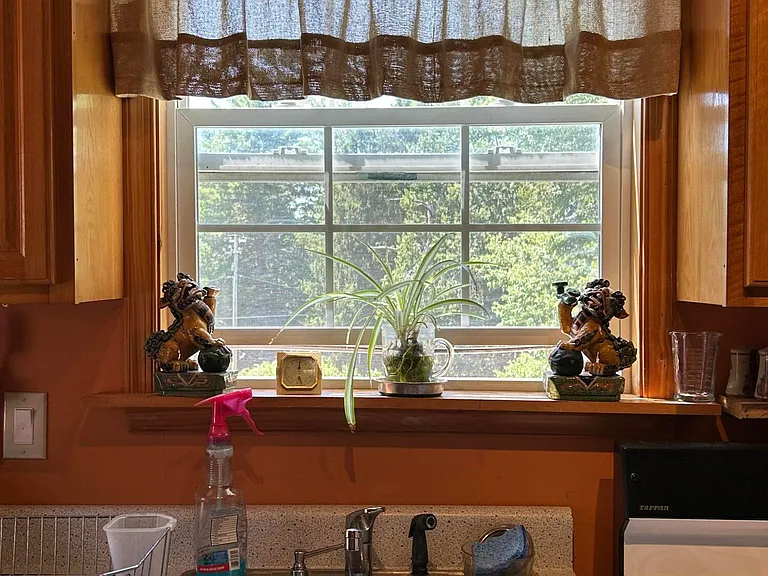 128 Shiny Mountain Rd — Photo 20
