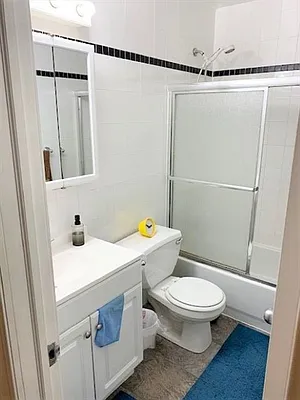 Rented by Citi Habitats | media 23