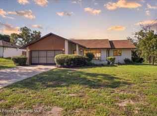 11460 Riddle Dr, Spring Hill, FL 34609