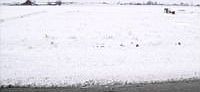 1st image of 9547 N 4800 W