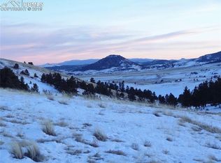 140 McIntyre Dr, Florissant, CO 80816