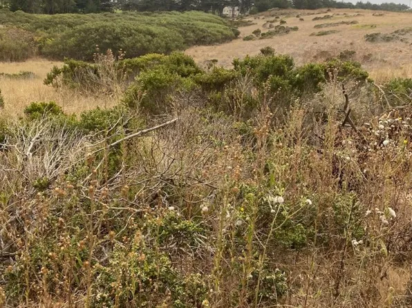 10 Anna, Half Moon Bay, CA 94019