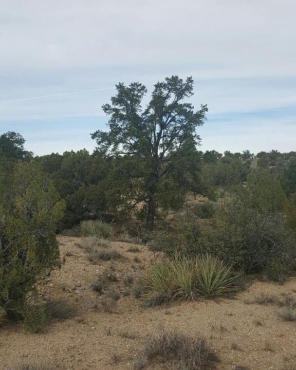 2nd image of E Sandriver Ranch Rd