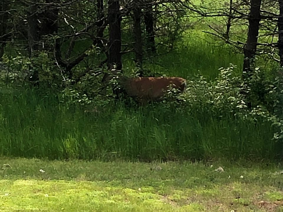 2nd image of 8590 Homestead Rd