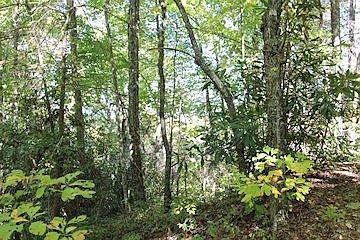 5th image of LOT 62 Tyrolea Ct Lot 62