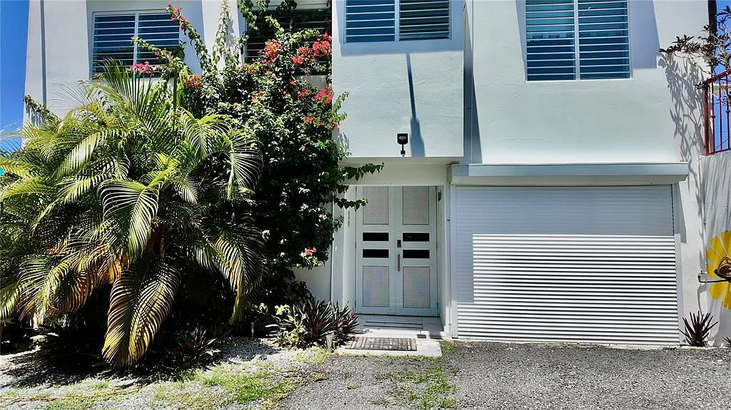 1 bed, 1.0 bath, 350 sqft, $1,000 — Photo 3
