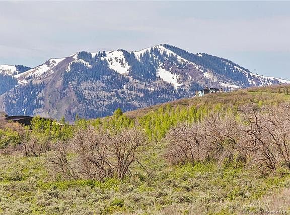 4th image of 736 W Deer Hl