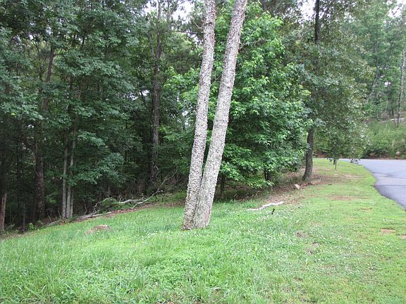 4th image of 19 Signal Mountain Dr SE