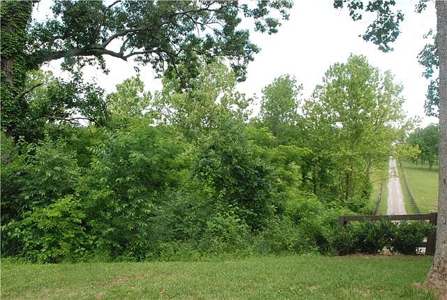 1st image of 1426 Latimer Ln Lot 4