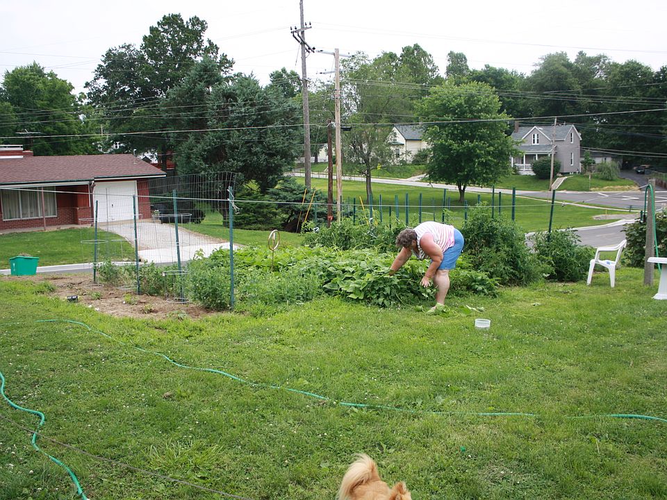 Garden Area in Back Yard