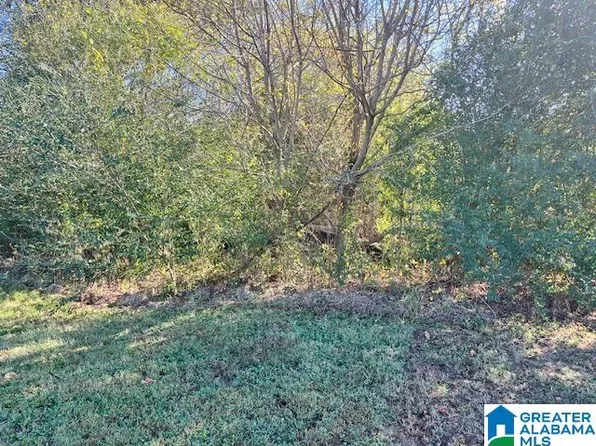 0 17th St N #20894, Pell City, AL 35125