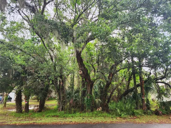 Brookline Ave Lot 43, New Smyrna Beach, FL 32168