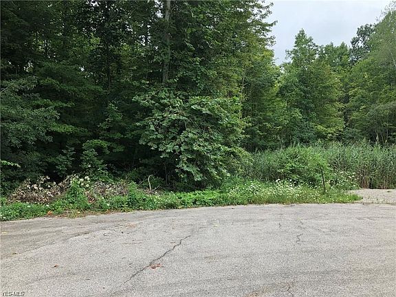 5th image of Elmwood Dr