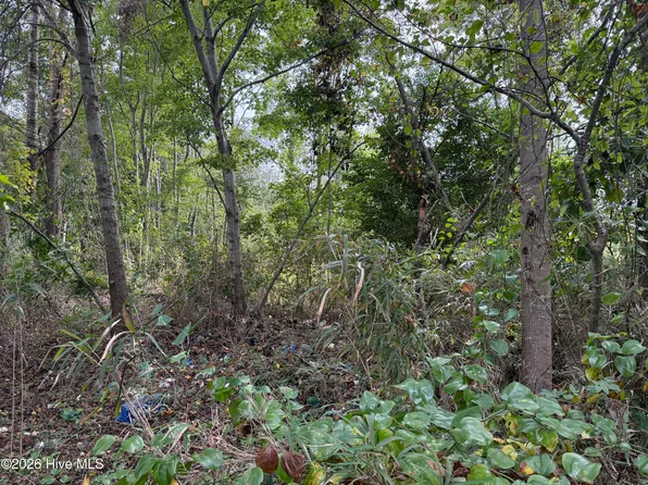 Parcel A Haywood Smith Road LOT Parcel D, Hertford, NC 27944