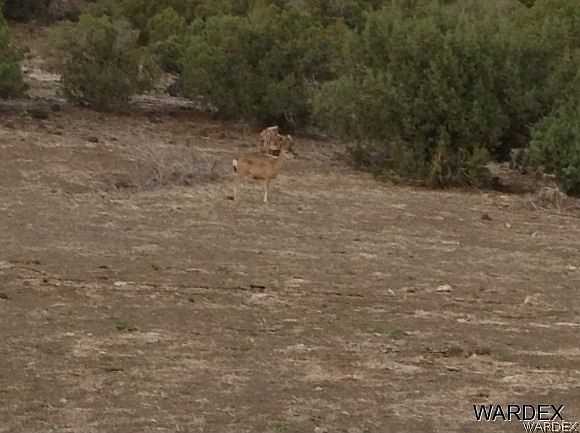 2nd image of 1310 Willows Ranch Road