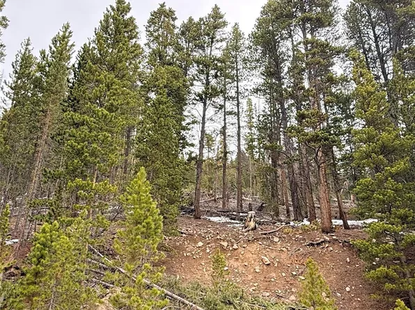 LOT 406 Glory Hole Road, Idaho Springs, CO 80452