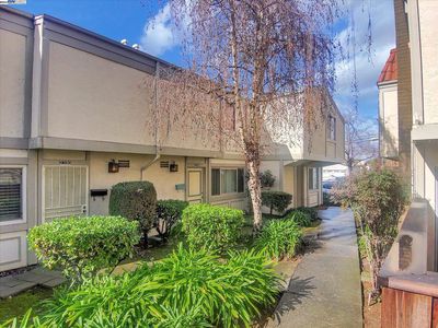 2394 Fairway Dr, San Leandro, CA, 94577