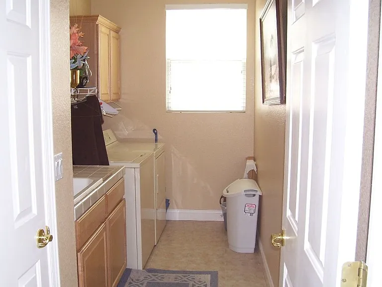 3316 Lacebark Pine St — Photo 19
