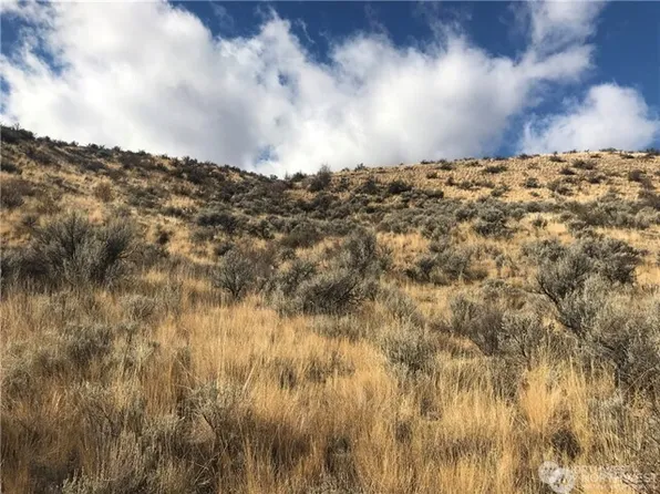 0 Goldfish Gulch Road, Waterville, WA 98802