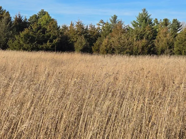 Lots H I Hoffman Beach Dr, Hillman, MN 56338