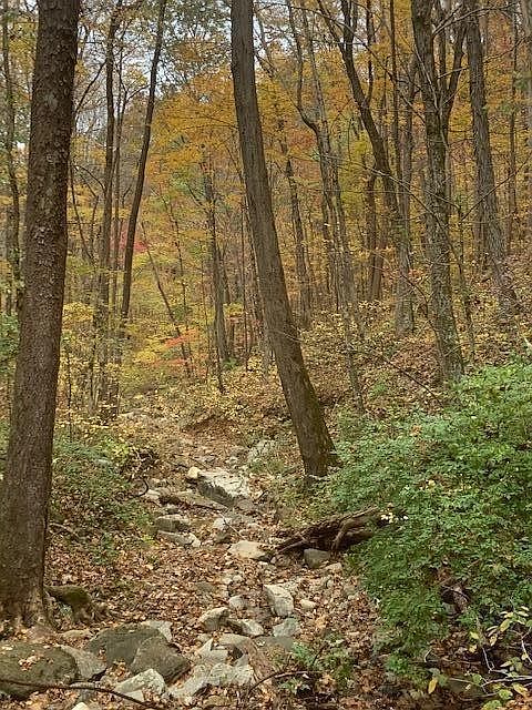 2nd image of 0 Wilcox Rd