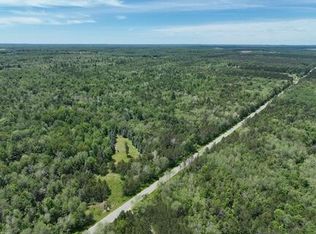 0 V/l W #13, Bitely, MI 49309