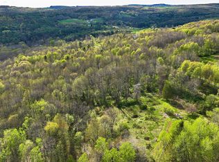 175 Sisson Hill Rd #26, Unadilla, NY 13849